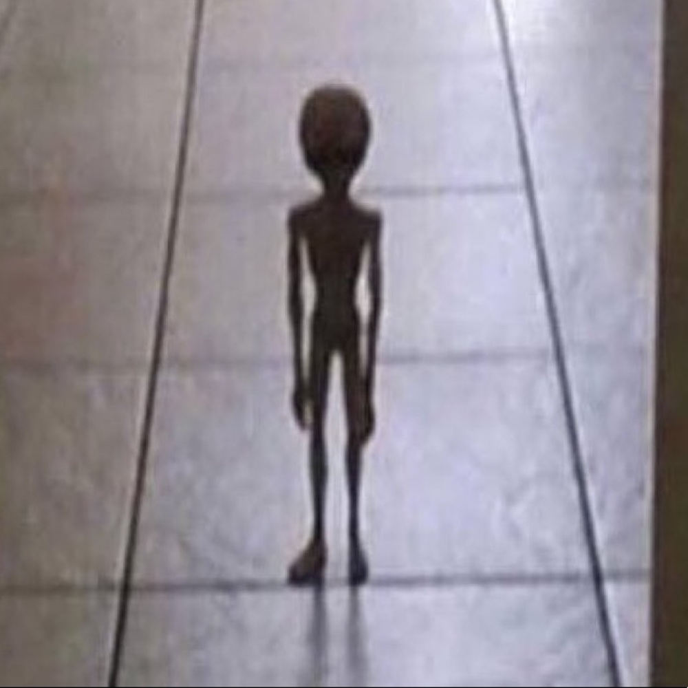 Meet your Posher, Miles